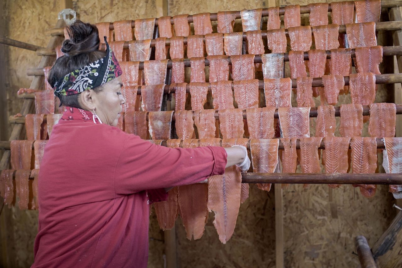 A woman from the Confederated Tribes of Warm Springs hangs strips of wind-dried salmon on rungs inside a drying shack.